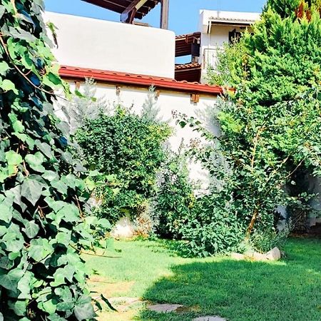 Trikorfo Bungalows Gerakini Zewnętrze zdjęcie