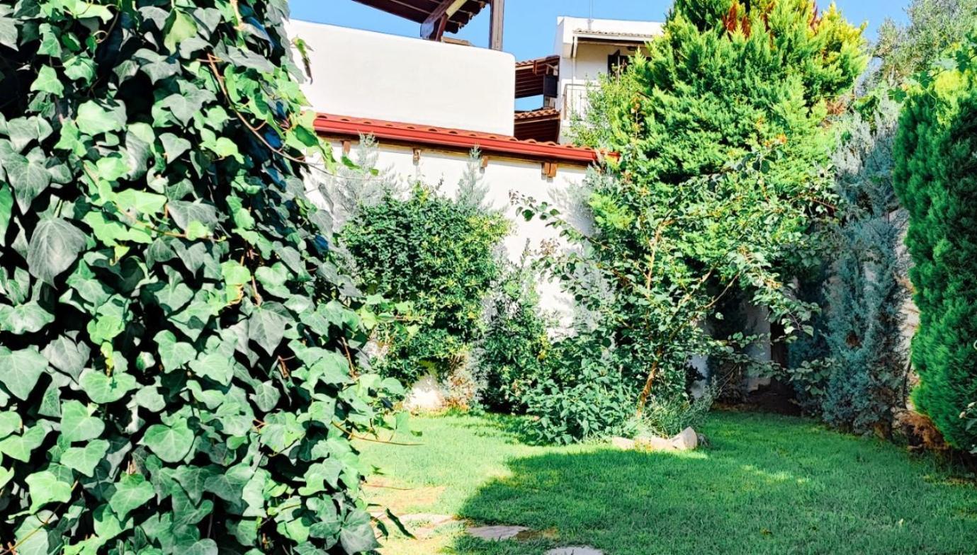 Trikorfo Bungalows Gerakini Zewnętrze zdjęcie